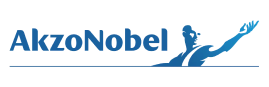 Akzo Nobel Solutions Enterprise Partner